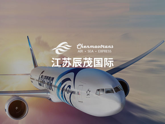 江蘇辰茂國際英文網(wǎng)站建設