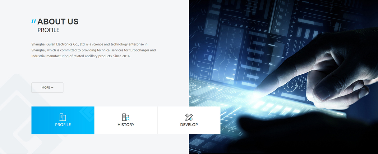 上海谷然汽車電子外貿(mào)站定制設(shè)計
