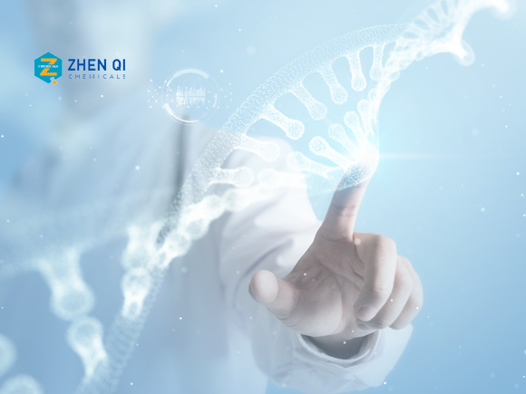 貴州真琪化工外貿(mào)獨立站建設