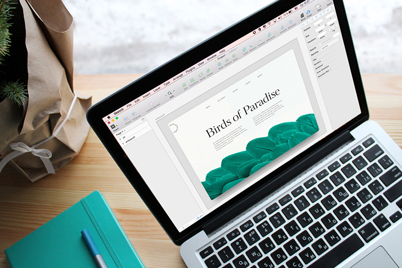 專業(yè)設(shè)計(jì)外貿(mào)國(guó)際站公司效果保障 專業(yè)設(shè)計(jì)外貿(mào)國(guó)際站公司效果保障